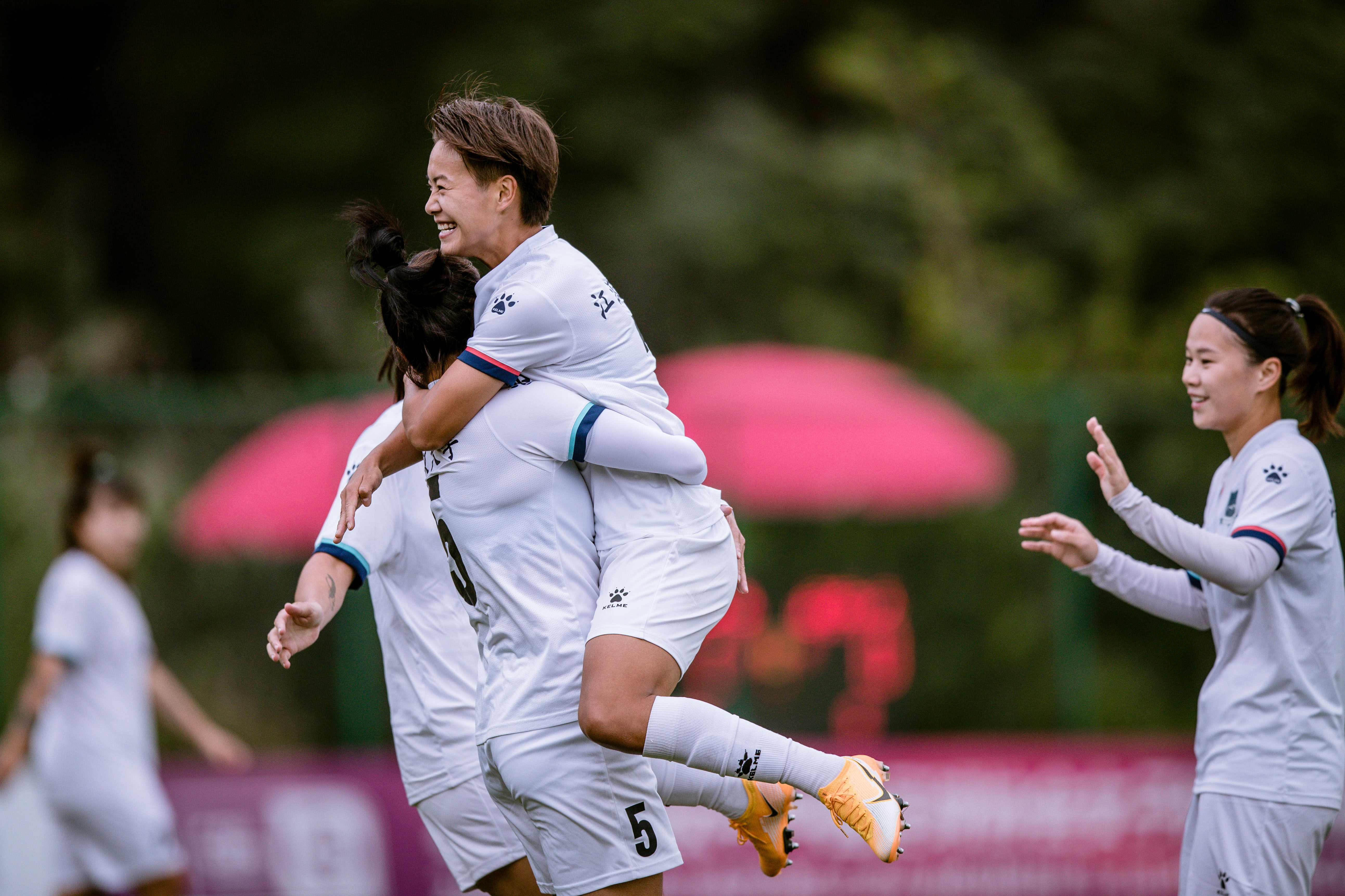 关于塔斯马尼亚联连续不败,争冠形势一片大好的信息 关于塔斯马尼亚联连续不败,争冠形势一片大好的信息