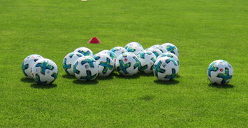 星空体育活动-美因茨主场取胜，击败弗莱堡扩大领先优势，美因茨对弗莱堡比分预测